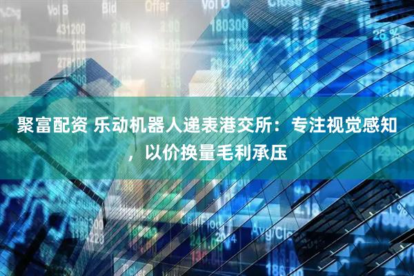 聚富配资 乐动机器人递表港交所：专注视觉感知，以价换量毛利承压